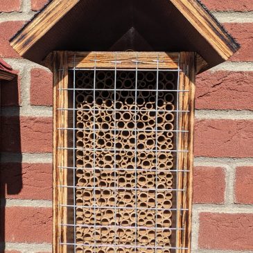 Neue Wildbienen-Nisthilfe